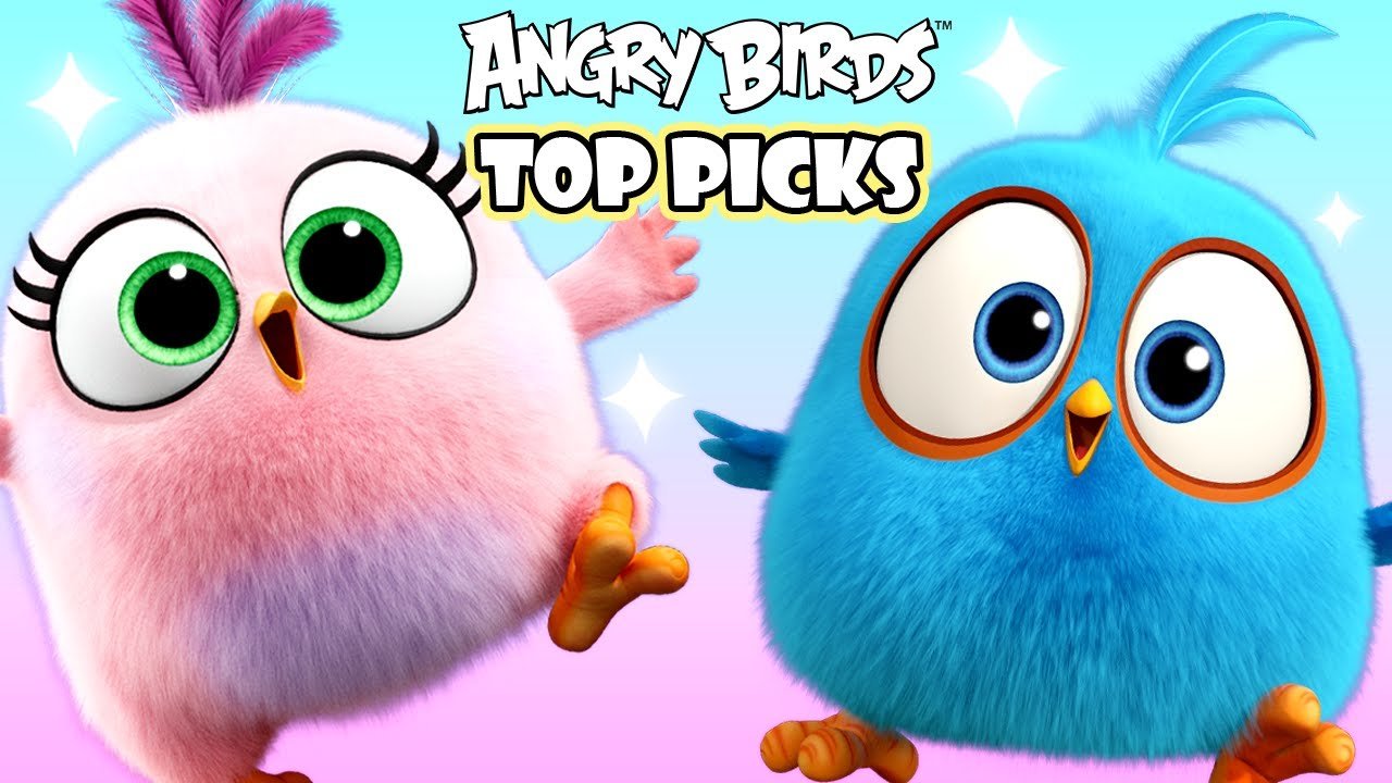 Discover Our Favorite Picks This Season